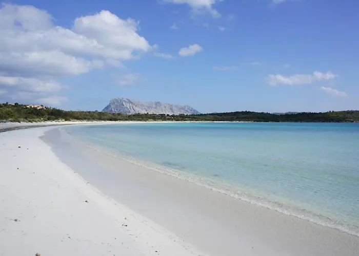 Smeralda Sea View - Luxury オルビア